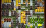 Spiele
